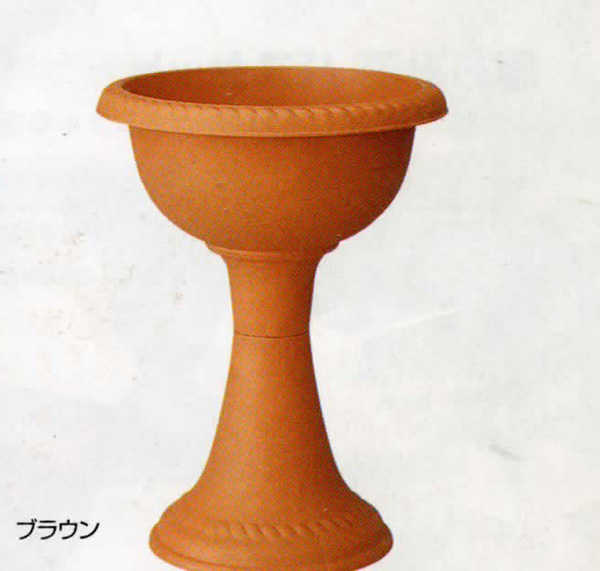 シャンティーハイスタンドカップ